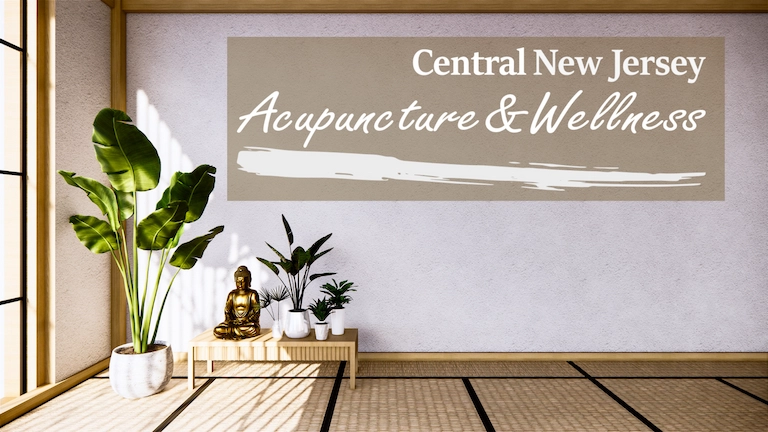 Zen-style waiting room with Central New Jersey Acupuncture & Wellness logo on wall