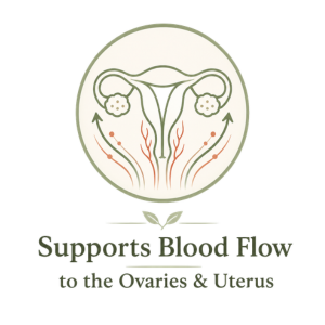 Illustration showing fertility acupuncture supporting healthy blood flow to the ovaries and uterus.