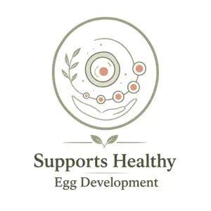Illustration showing fertility acupuncture supporting healthy egg development.