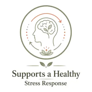 Illustration showing fertility acupuncture supporting a healthy stress response through nervous system regulation.