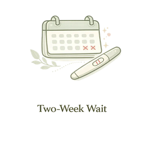 Illustration representing the two-week wait after embryo transfer during an IVF cycle.
